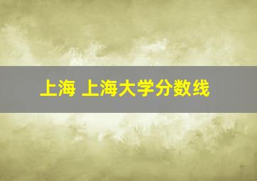 上海 上海大学分数线